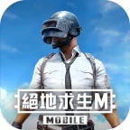 PUBG MOBILE GL